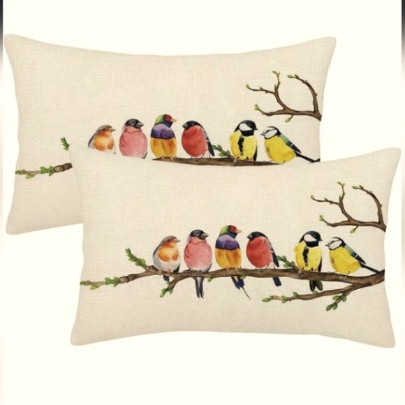 Source Unknown Other - 🐦NWT! Set Of 2 12x20 Bird Watch Pillow Covers